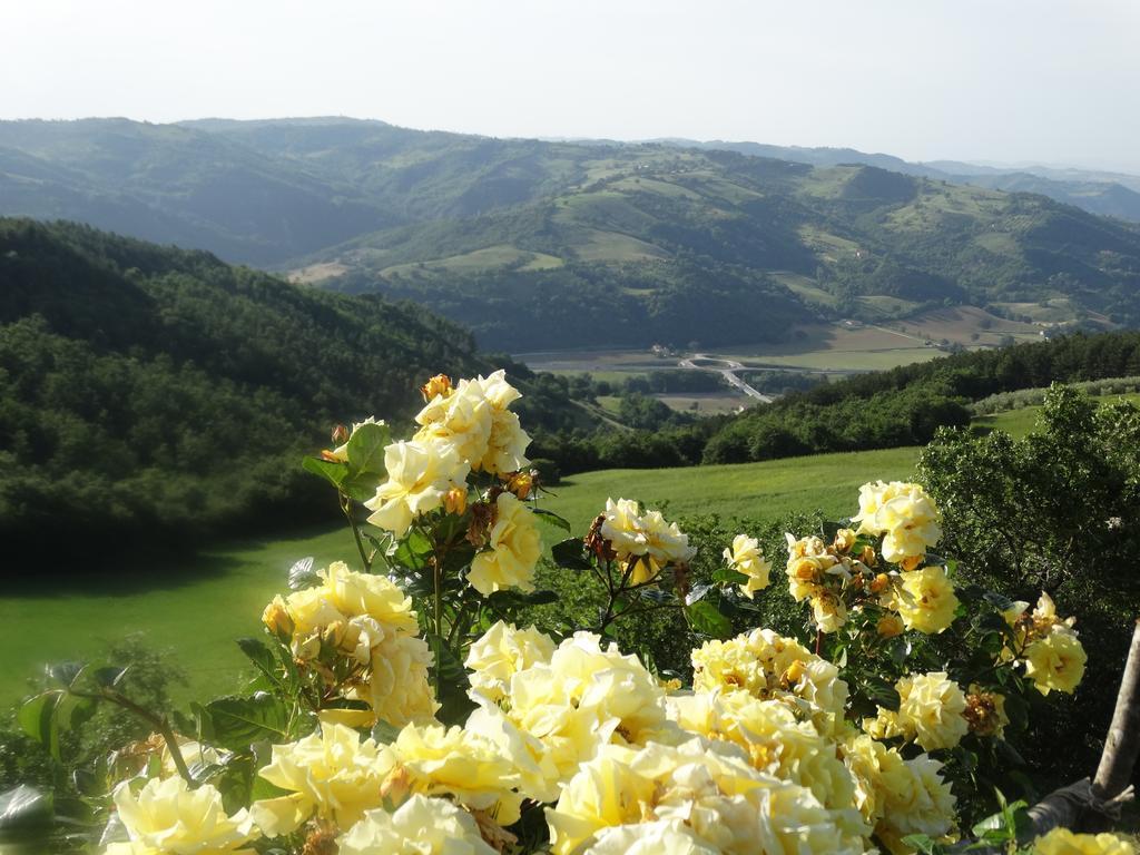 Agriturismo La Terrazza Valfabbrica Εξωτερικό φωτογραφία